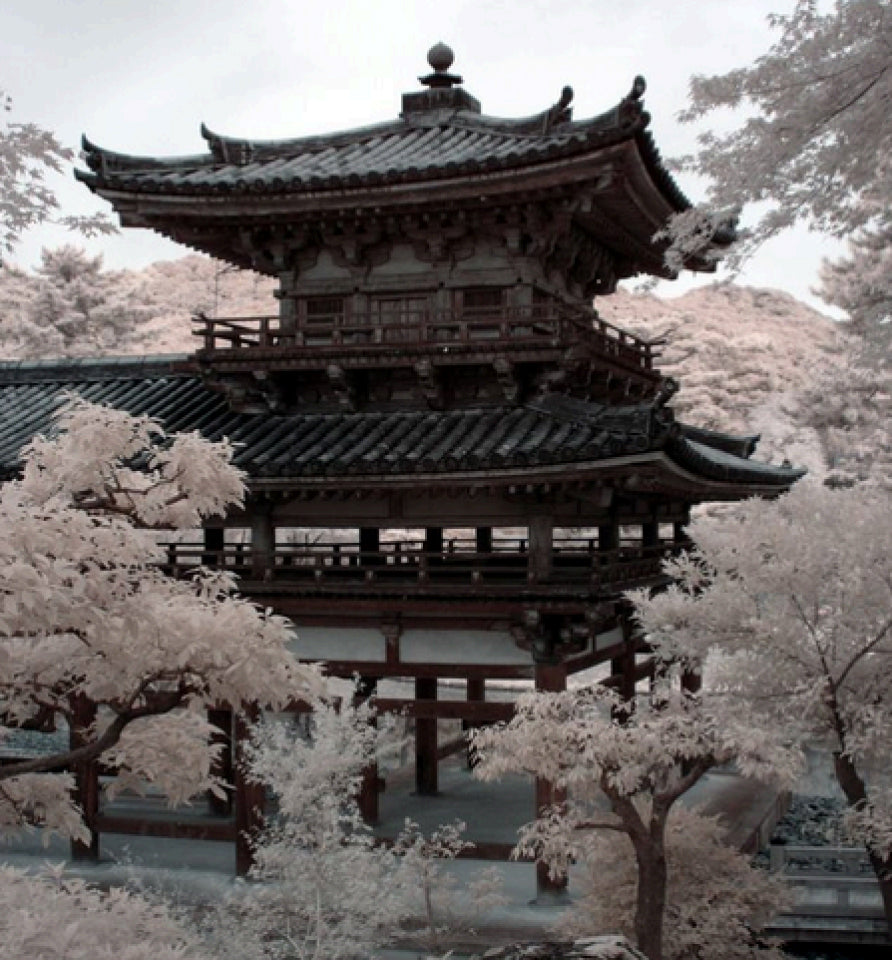 Lorem ipsum dolor sit amet consectetur urna vulputate aenean id